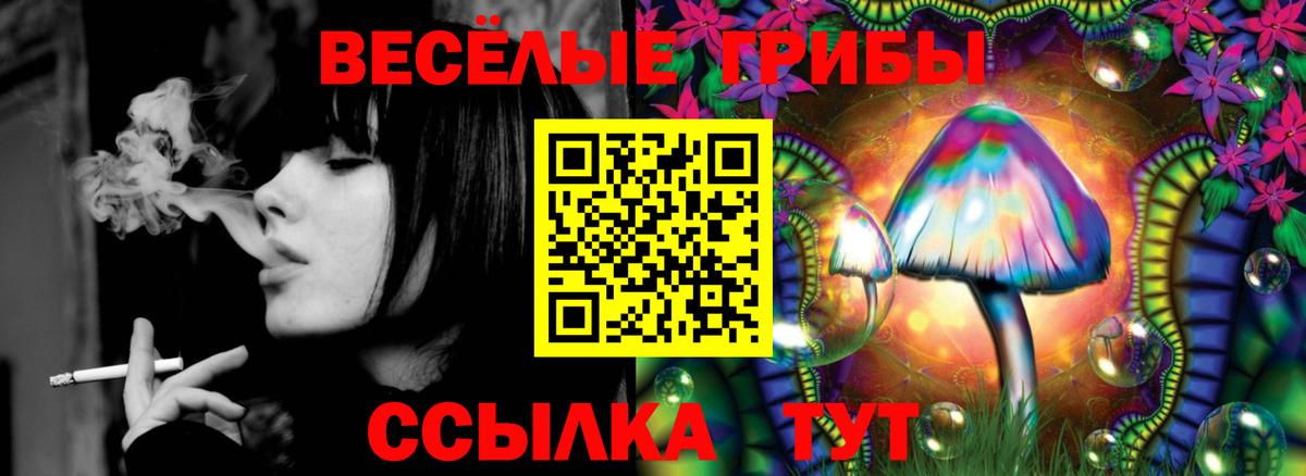 Галлюциногенные грибы мицелий Камышин