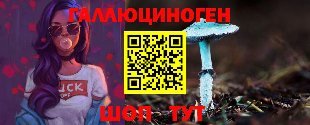 дарнет шоп  Псилоцибиновые грибы Psilocybine cubensis  Вход с VPN  Камышин 